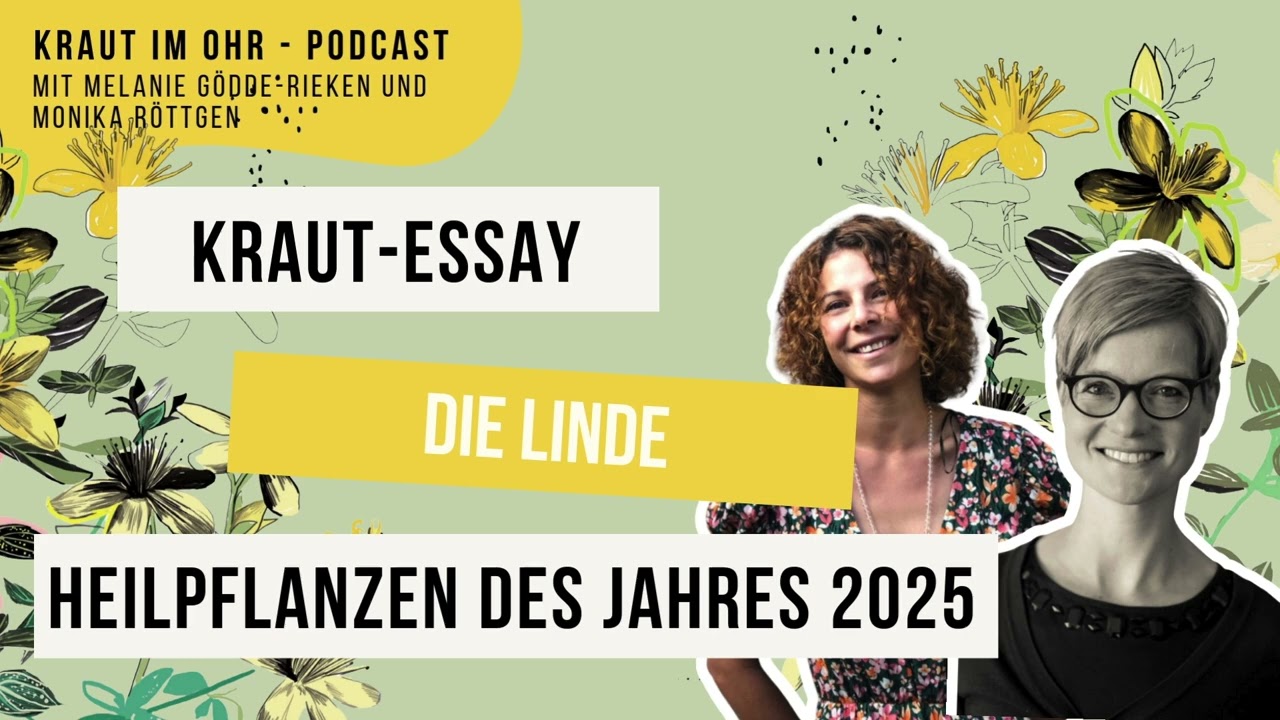 Kraut-Essay: Die Linde - Heilpflanzen des Jahres 2025