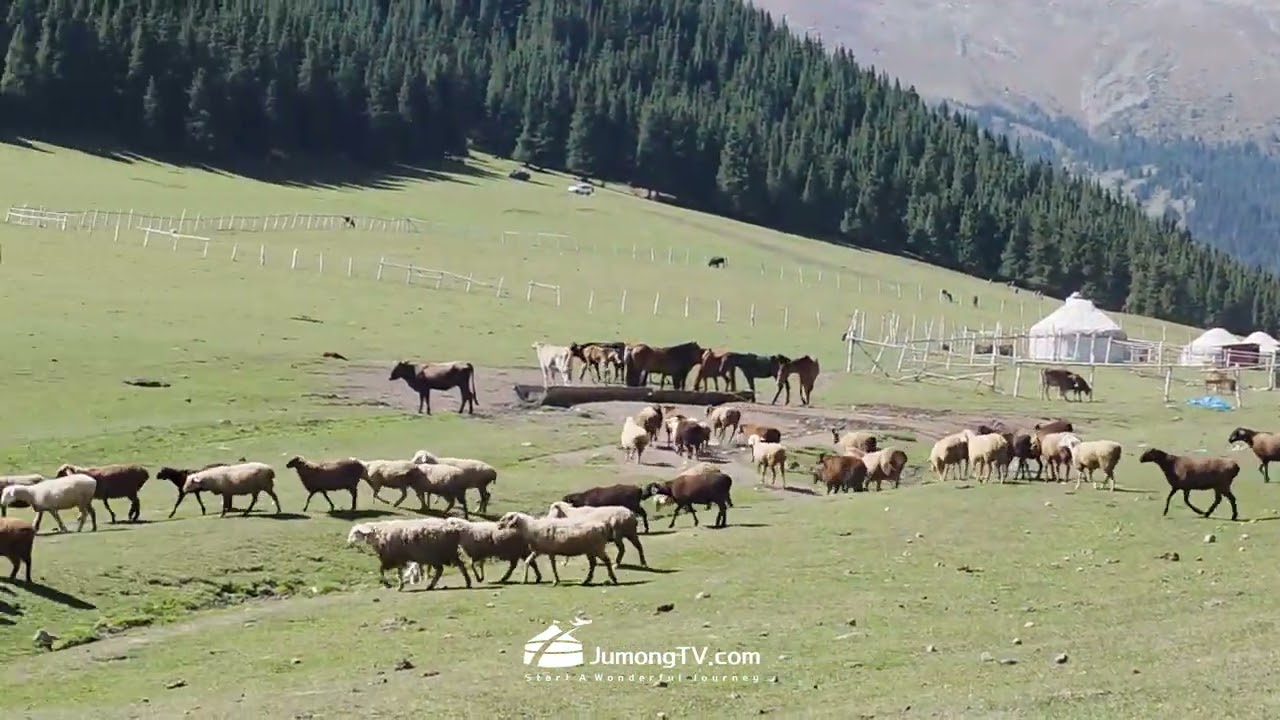 Travel to Kyrgyzstan : Whispers of Song Kul Lake  - JumongTV -