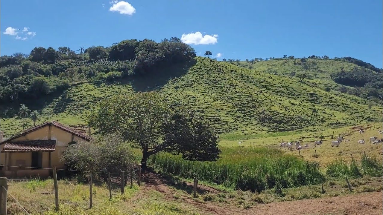 Fazenda onça e barra grande monte santo de minas