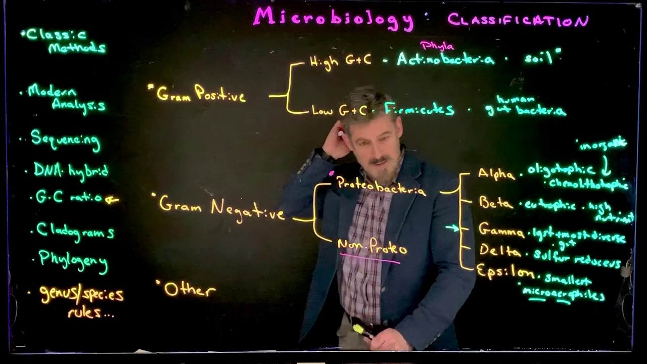 Bacterial Phyla