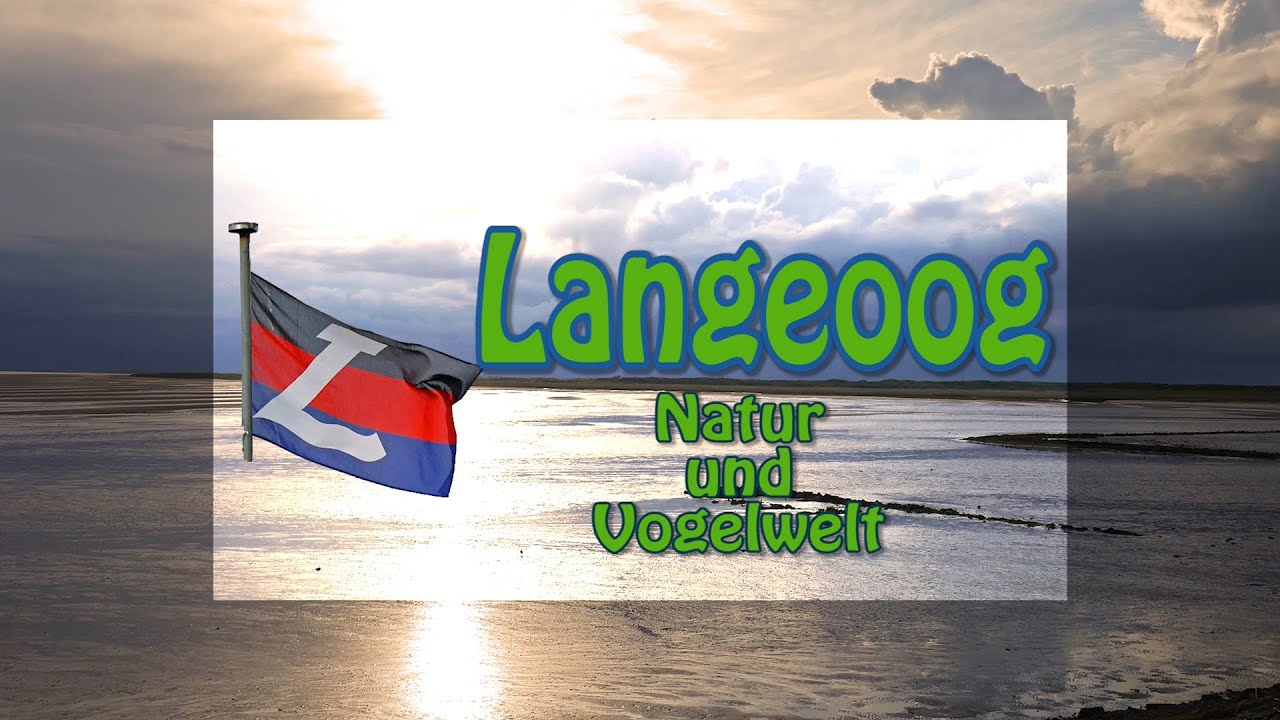 Ich liebe Vögel: Natur und Vogelwelt auf  Langeoog