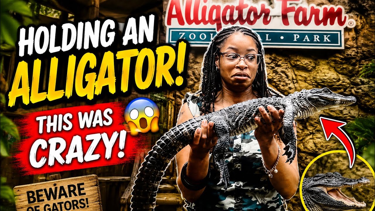 Come to the Alligator Farm with me!!