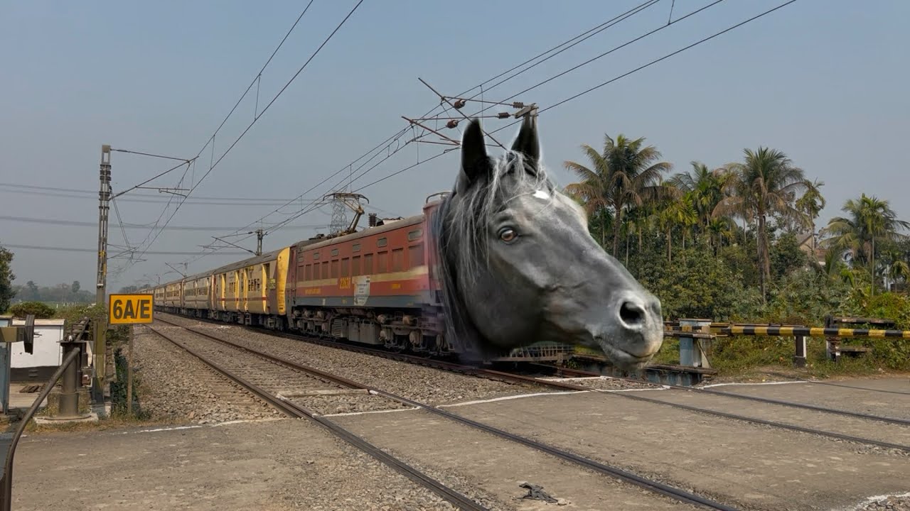 Dangerous Horse Headed Malda intercity Express Furious Moving Throughout at Railgate 