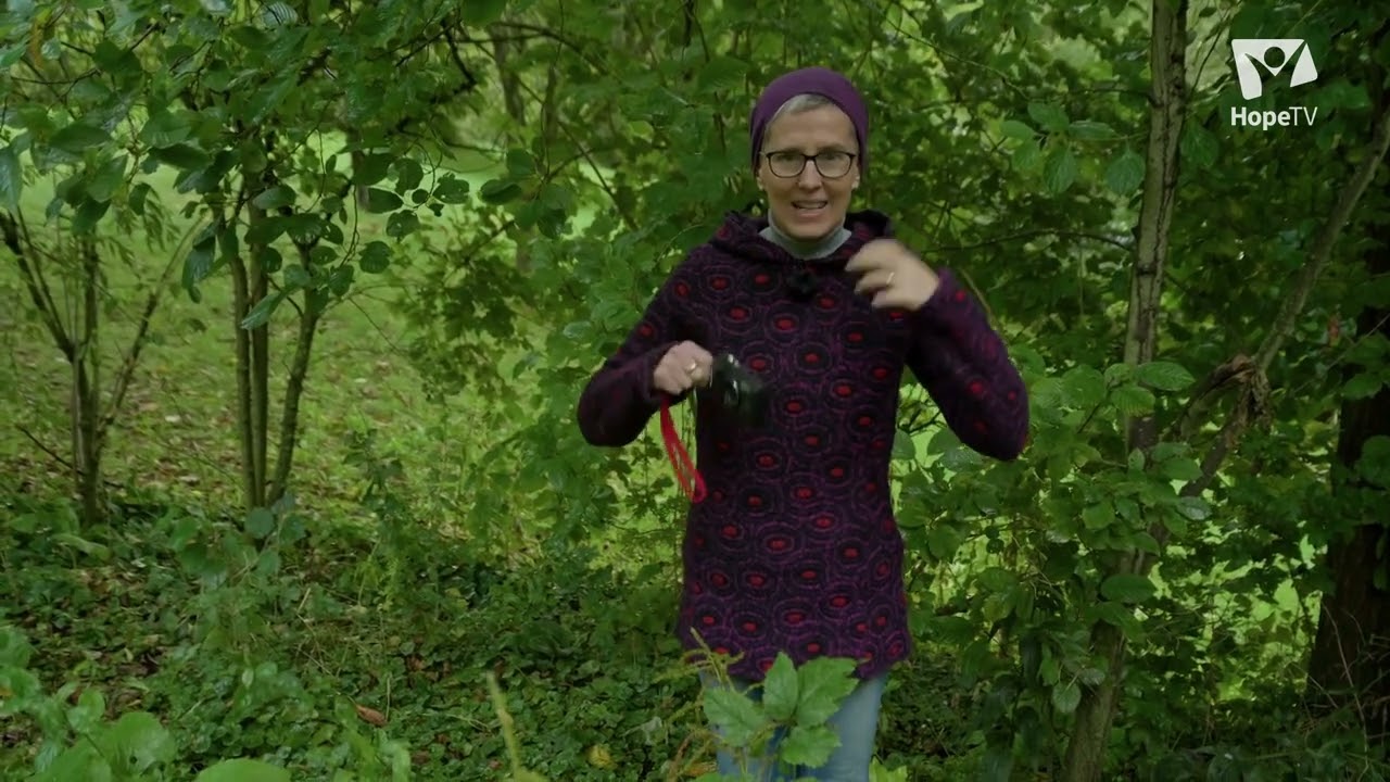 Bunte Beeren | „Gabis Garten“ mit Gabi Pratz