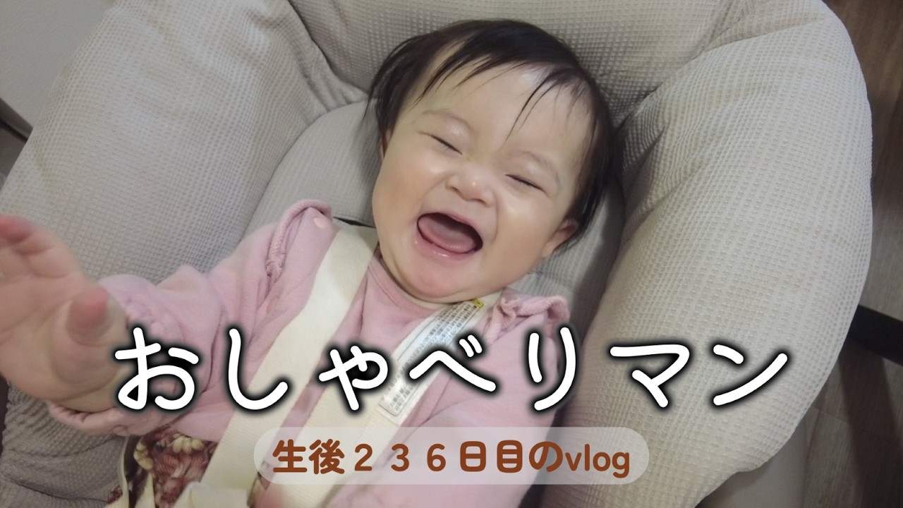 生後236日目 おしゃべりマン｜里帰りなし,1LDK,完母育児,生後7ヶ月,vlog