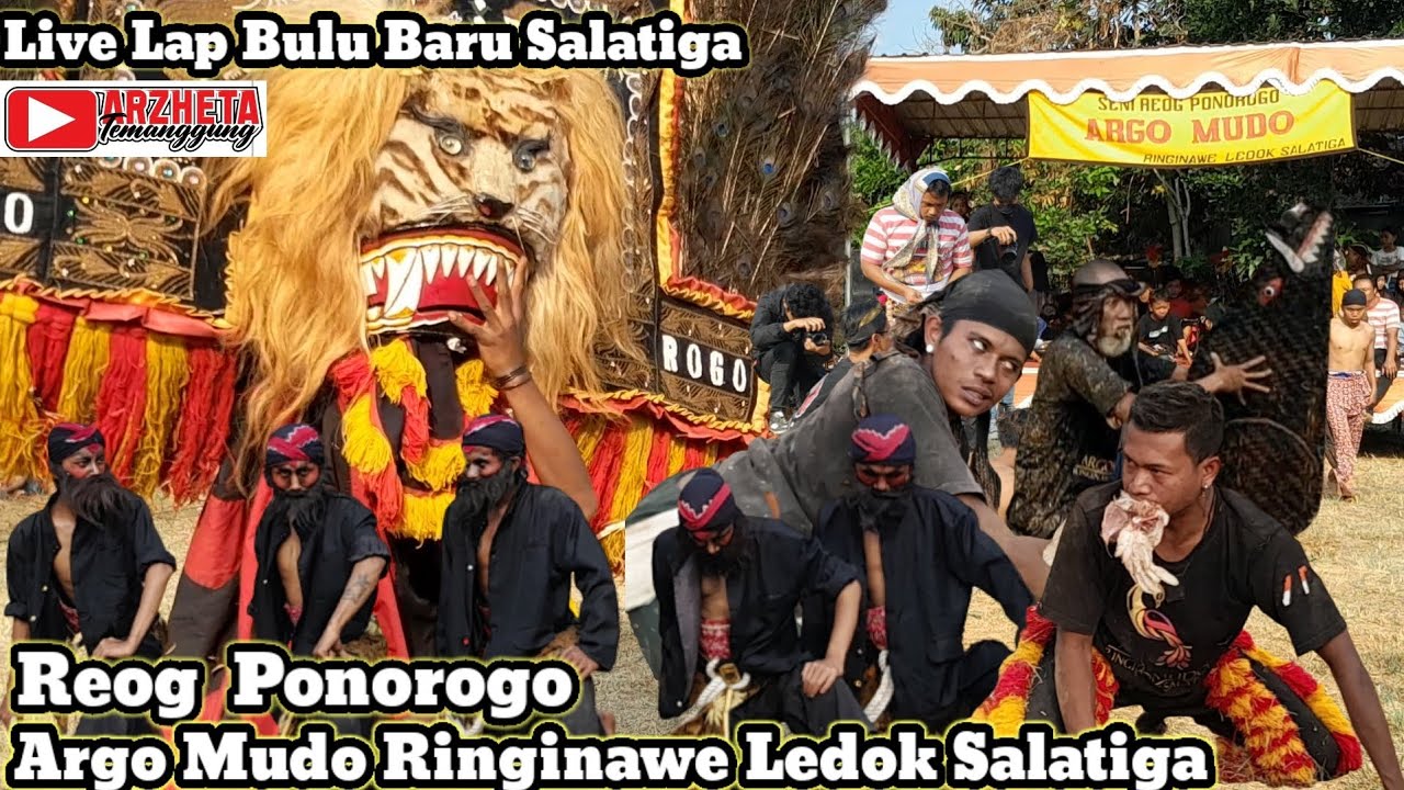 REOĜ PONOROGO ARGO MUDO RINGINAWE LEDOK SALATIGA FULL SURUP LIVE LAP.BULU BARU SALATIGA #live #viral