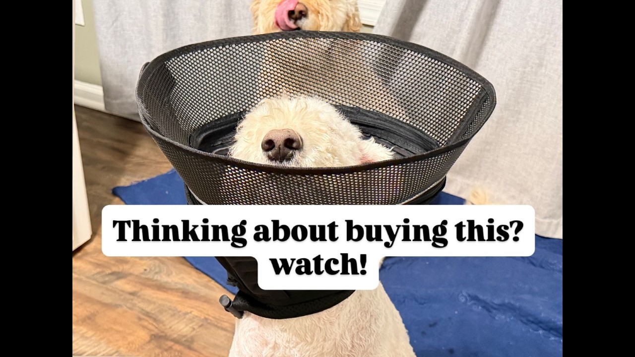 Soft Inflatable Dog Cone  ,Comfy Post-Surgery Collar