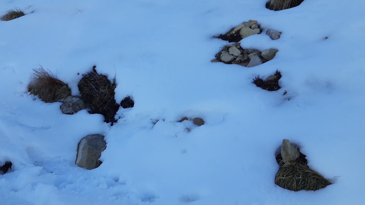 cima telegrafo Mt.Baldo da novezza
