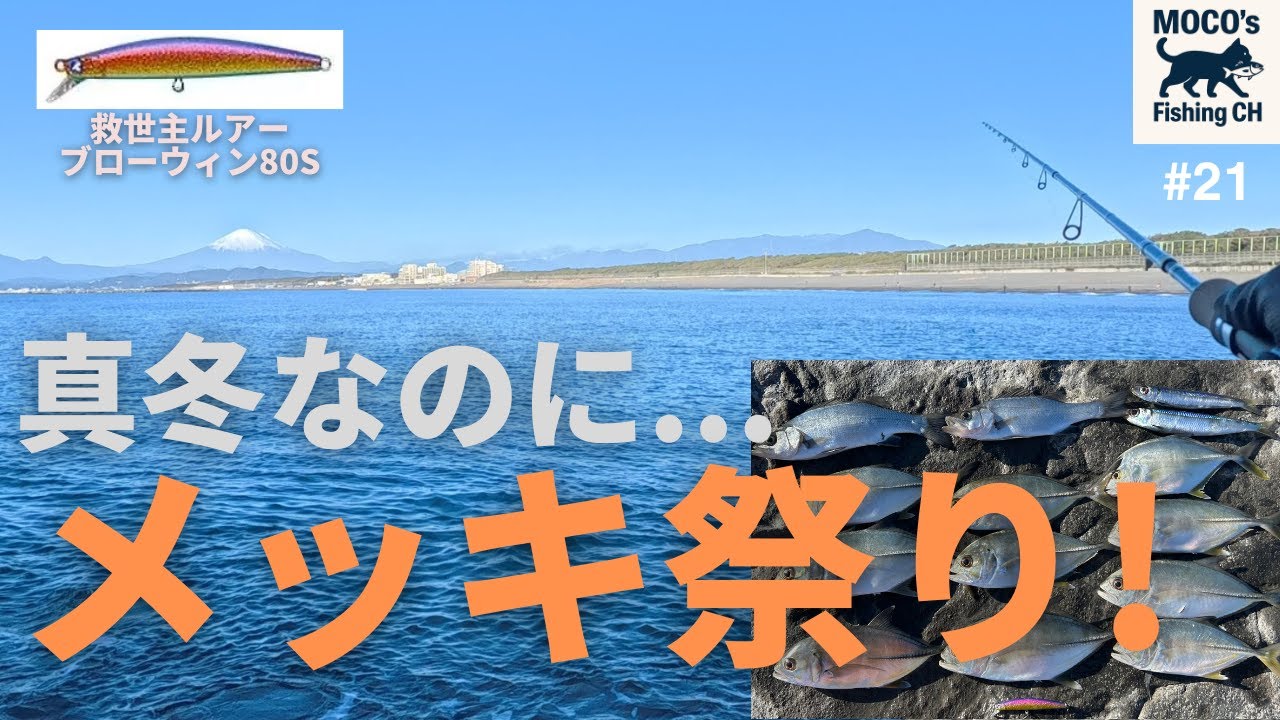 真冬の茅ヶ崎でメッキ祭り！｜1月、流れが変わった日