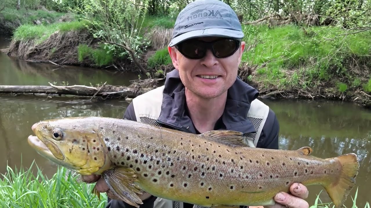 Pstrągowy wieczór nad wiosenną rzeką. Pstrąg 60 cm !