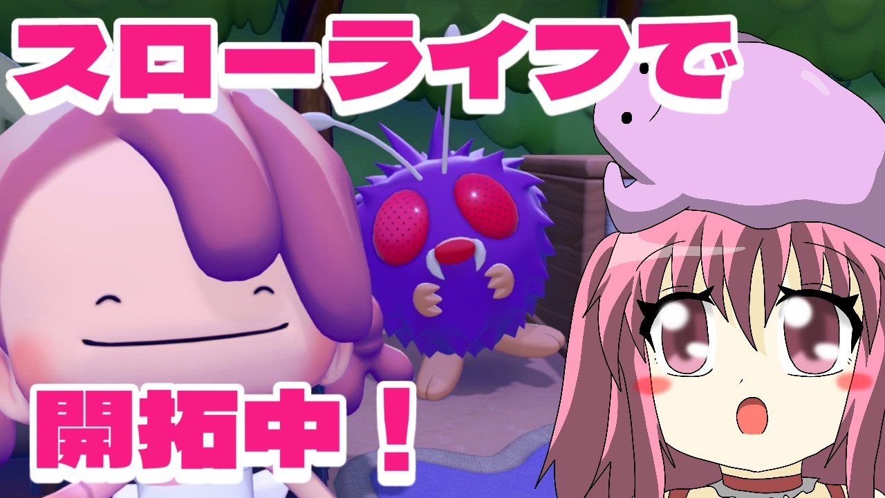 R団入団試験と開拓と！【ぽこあポケモン】