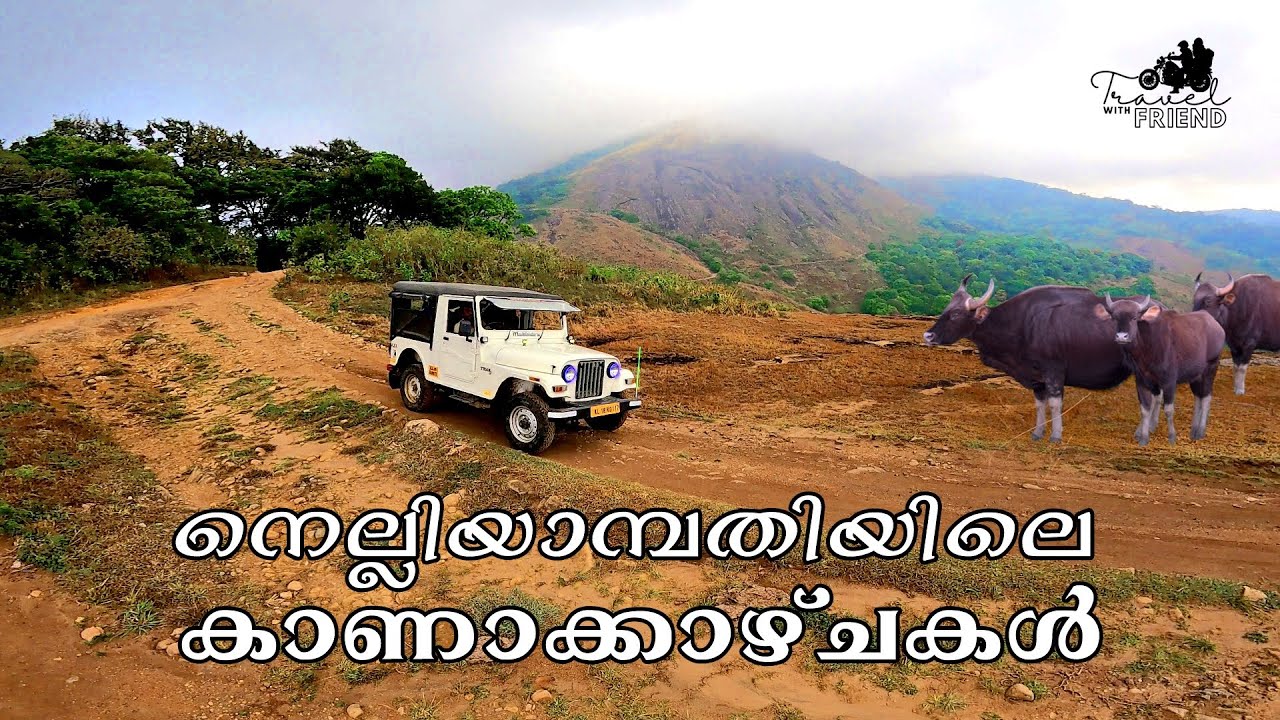 നെല്ലിയാമ്പതി  കാടിനുള്ളിലെ ട്രക്കിങ് | Nelliampathi | സീതാർഗുണ്ട് വ്യൂ പോയിൻറ് | Palakkad | Vlog 20