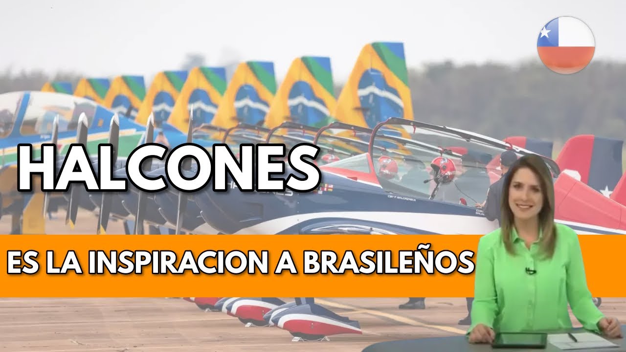 Enamorado de los halcones de la fach. 🇧🇷🇨🇱