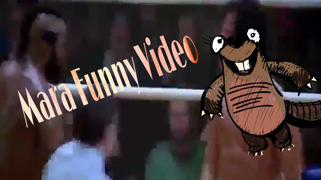 Mara Funny Video Collection 2019