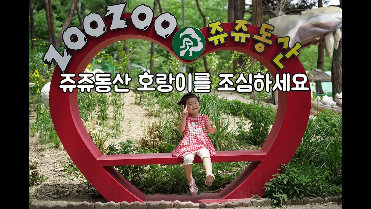 구미 쥬쥬동산에서 호랑이를 볼때 조심하세요 !
