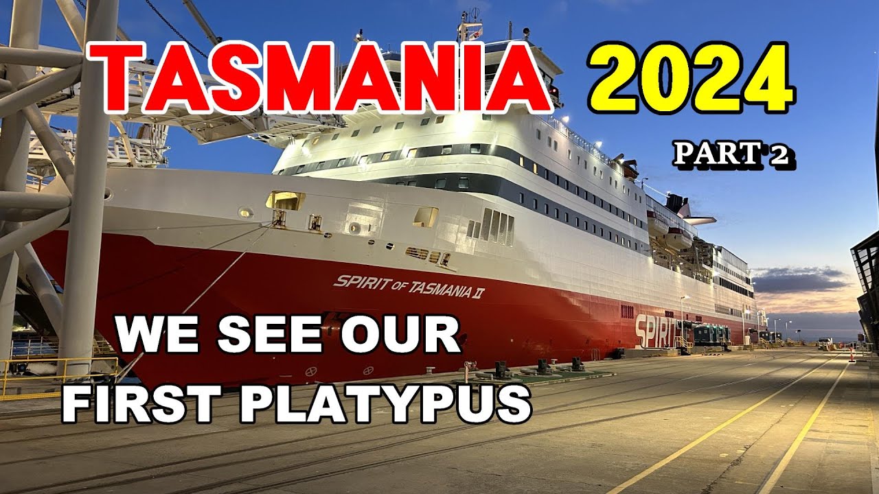 Tasmania 2024 / Pt 2 - We See Our First Platypus In The Wild & So Much More