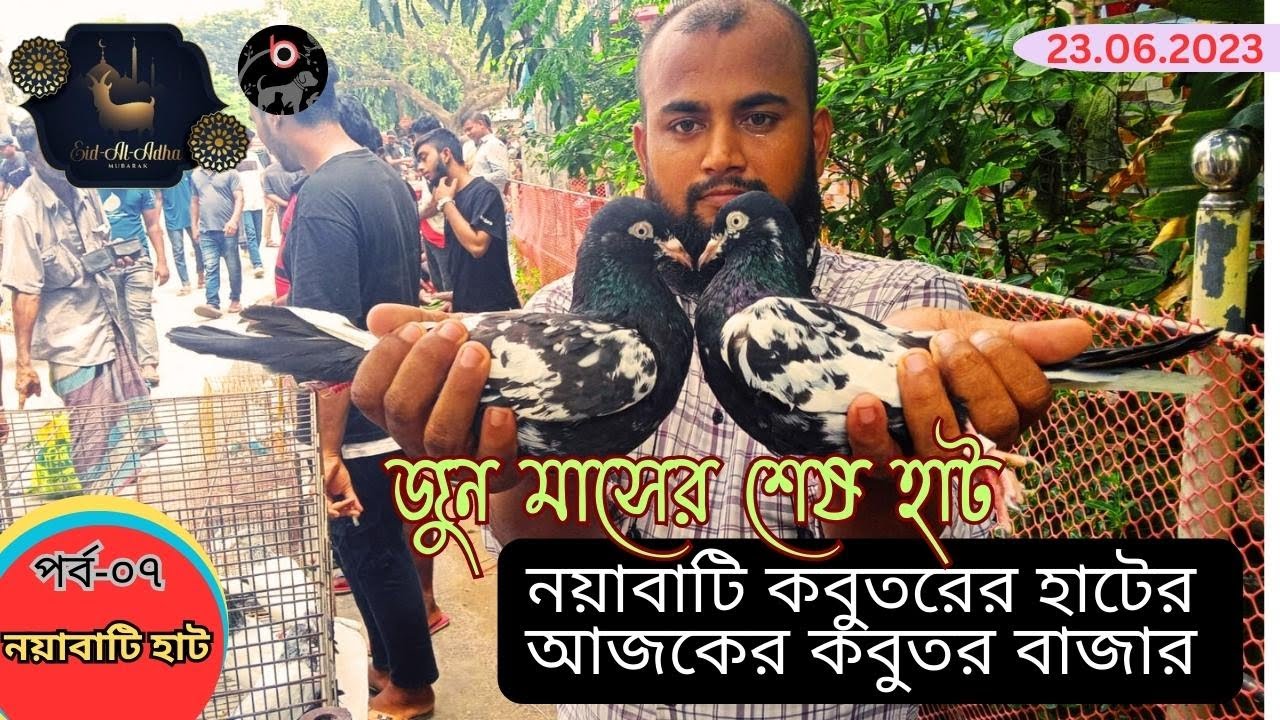 সবথেকে বড় কবুতরের হাট পর্ব-৭ Largest pigeon market in Khulna খালিশপুর, নয়াবাটি, চিত্রালী, খুলনা.