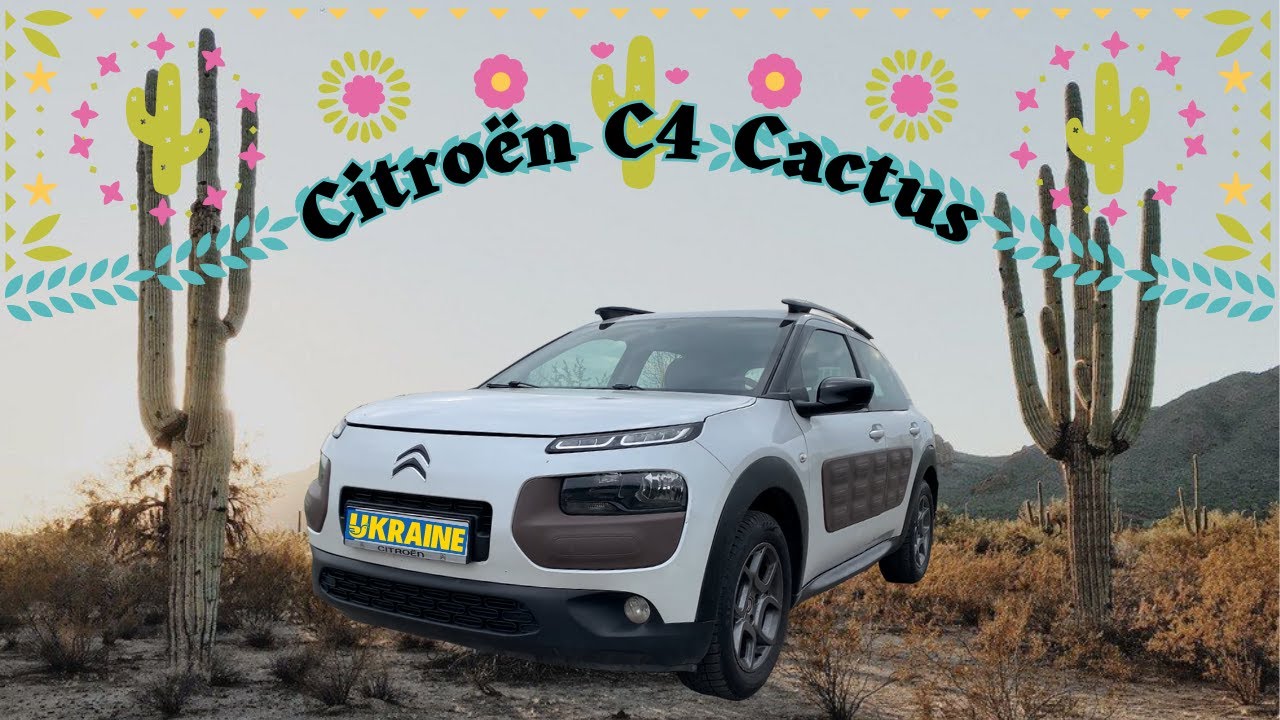Бридка колючка чи хороший автомобільчик Citroen C4 Cactus?