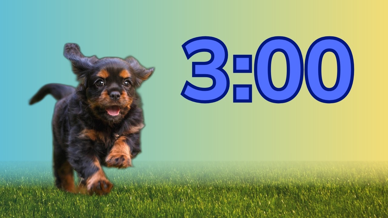 3 Minute Classroom Timer with Dogs