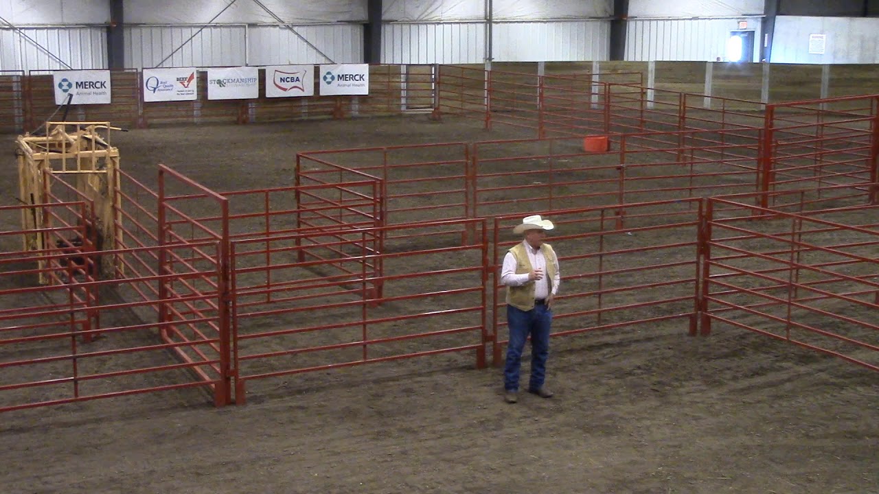 Ron Gill, Pressure and Release, Stockmanship/Stewardship 2019