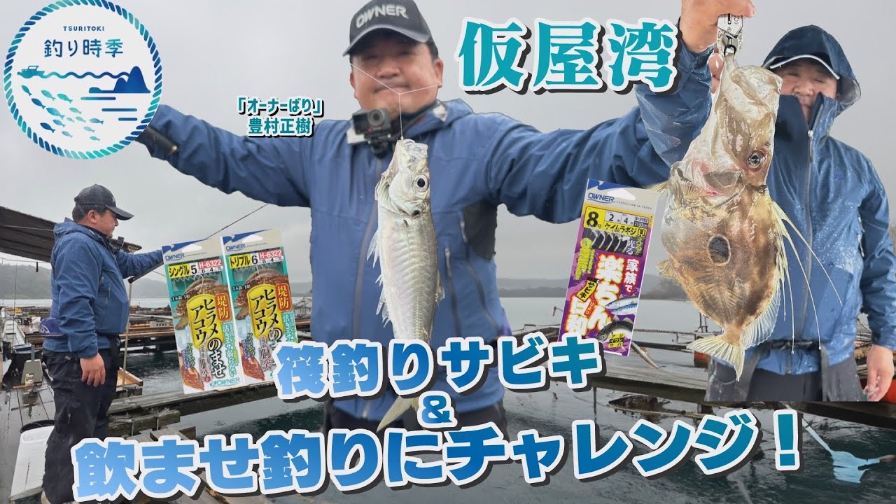 【釣り時季】仮屋湾の筏釣りサビキ&飲ませ釣りにチャレンジ！