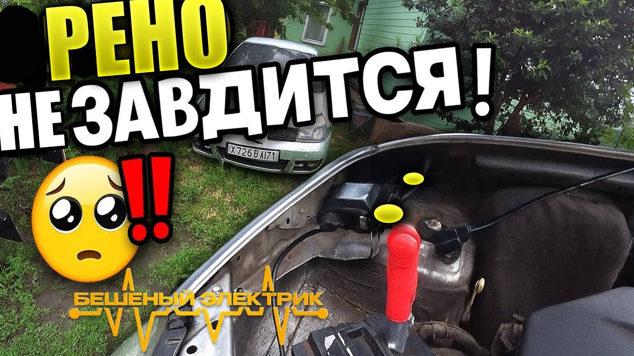 Оживление рено, Никита 