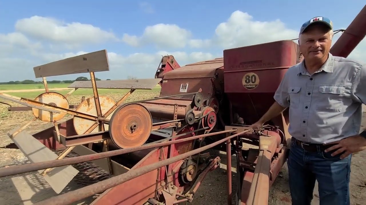 Harvesting milo with an IH Model 80 combine and Farmall 1456 tractor (2023)