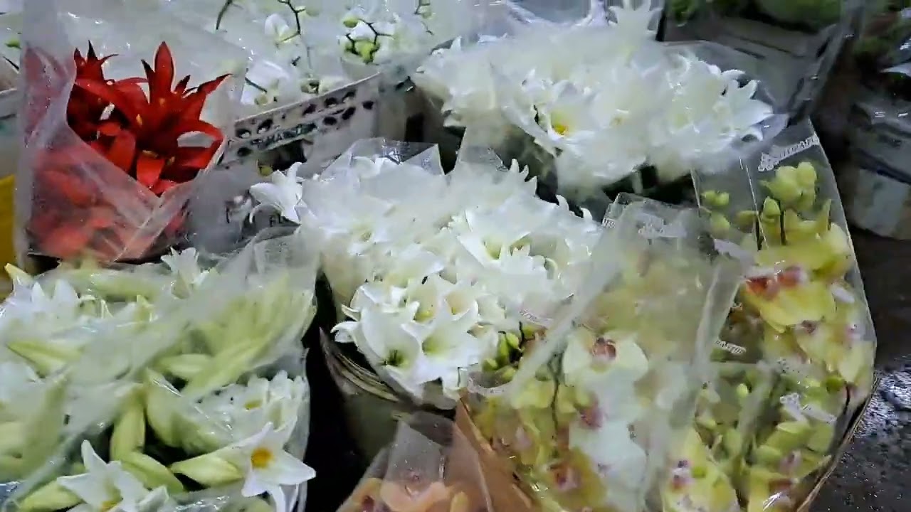 CEASA DE SÃO PAULO. FLORES E PLANTAS.