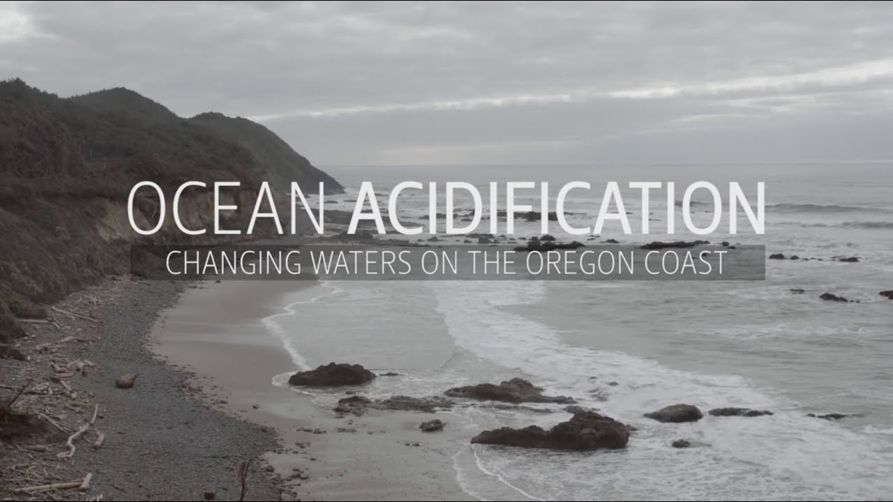Ocean Acidification - Changing Waters On The Oregon Coast