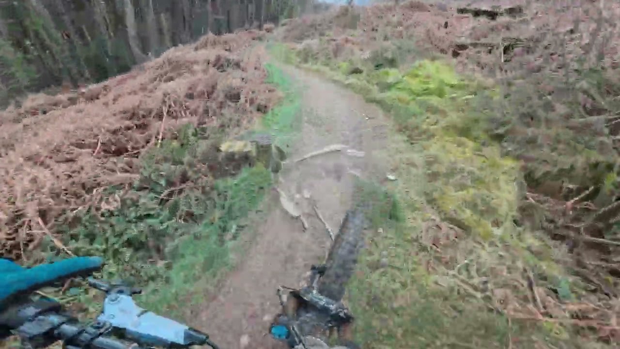 Cwmcarn Mayhem MTB - Top / Middle @adambaverstock4557