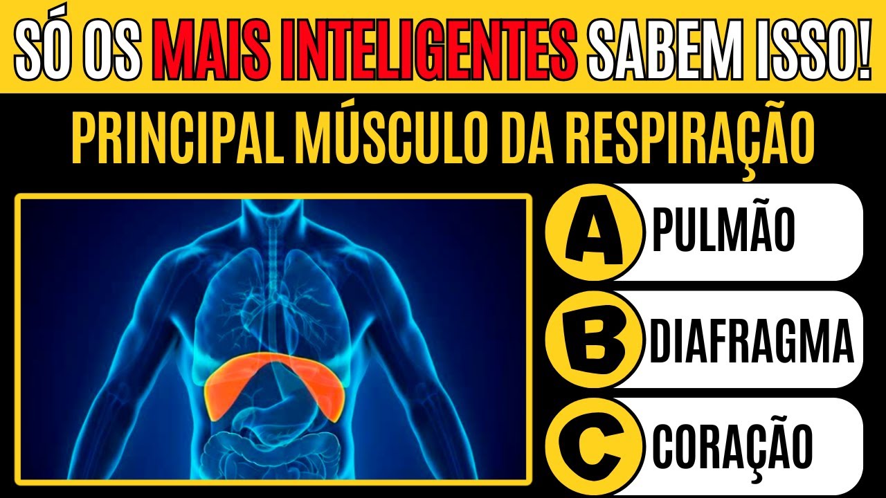 Você Conhece o Sistema Respiratório REALMENTE? Quiz de Anatomia!