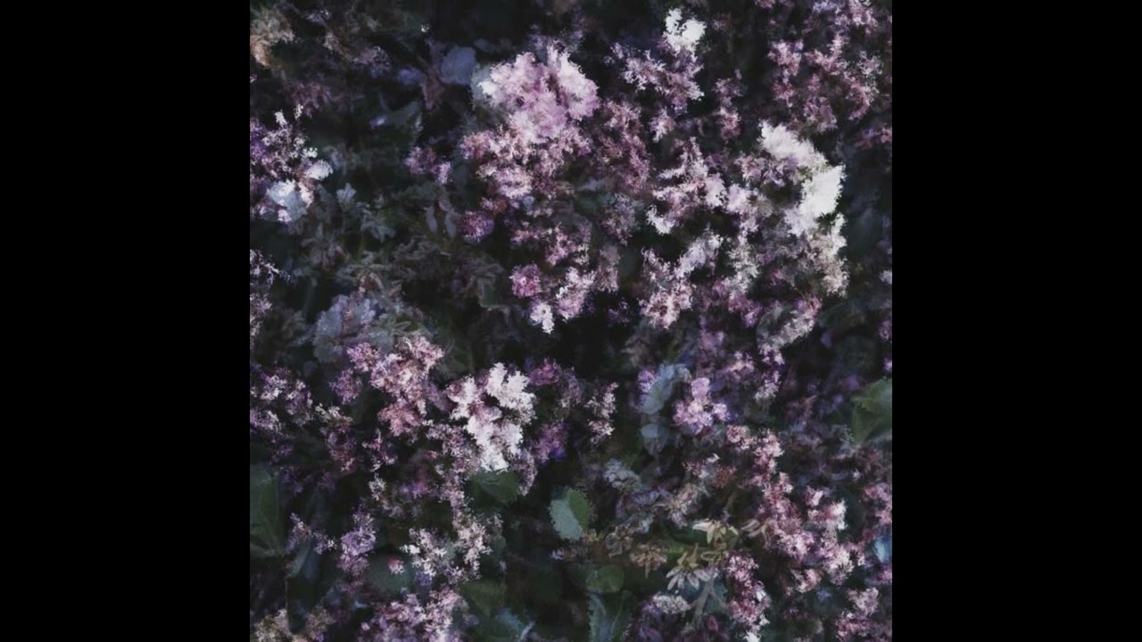 The Camaraderie - Avant​-​Première: Faux Souvenirs Volume 7 (FULL ALBUM)