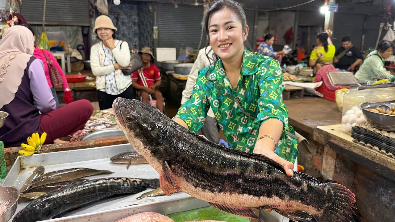 Market show: Buy big snakehead fishes and cooking | Snakehead fish with Cambodia noodle recipe