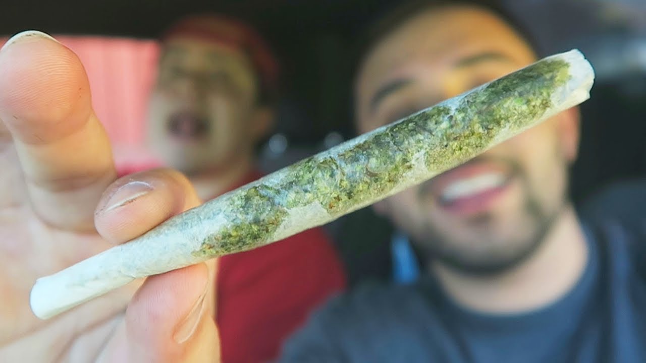 FRUIT SALAD TWAX JOINT