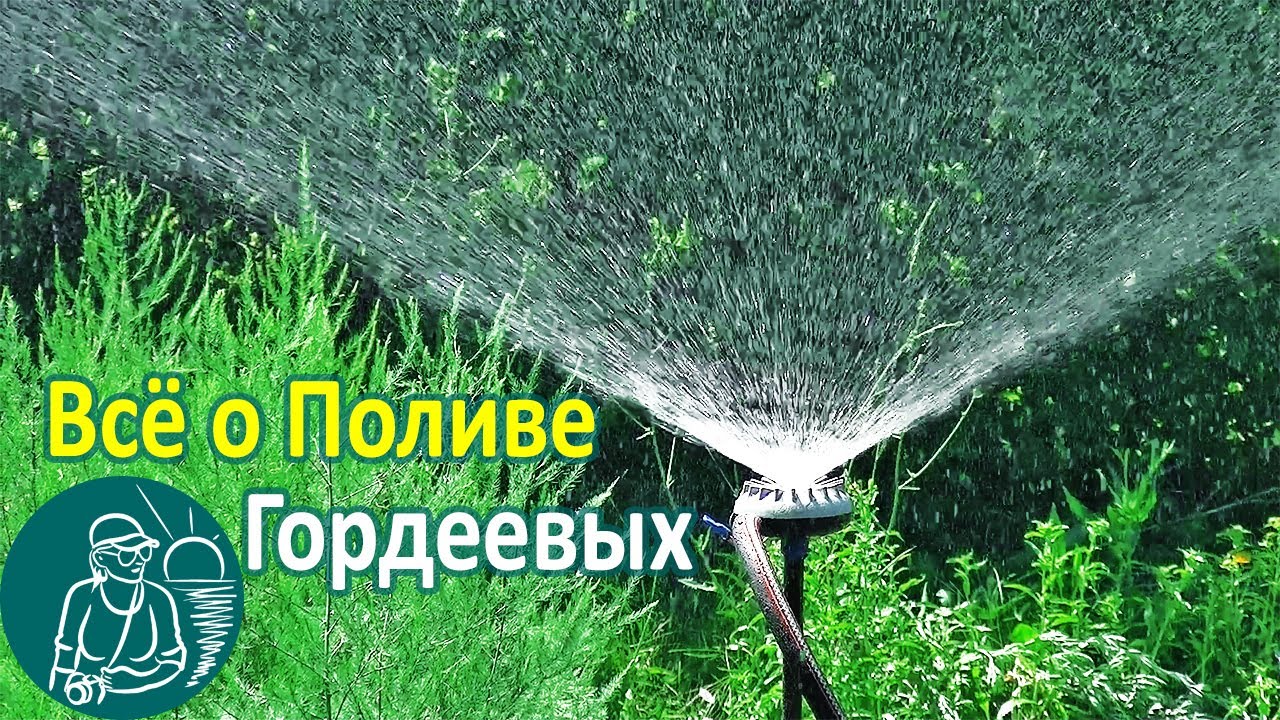 💧 Полив огорода по технологии Гордеевых: дождеватель, шланг, насос для полива в жару холодной водой