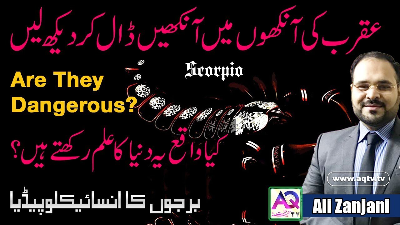 Scorpion are really Dangerous or Not | Personality | Traits | Astrologer ali zanjani | AQ TV