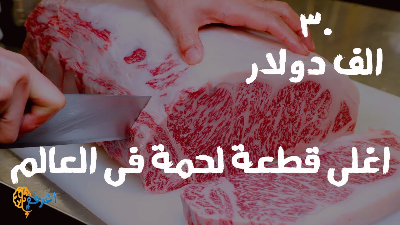 اغلى قطعة لحم في العالم ثمن البقرة الواحدة 30 الف دولار لماذا ؟