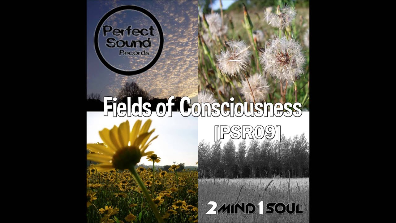 2Mind1Soul - En las Noches Ardientes (Original Mix)