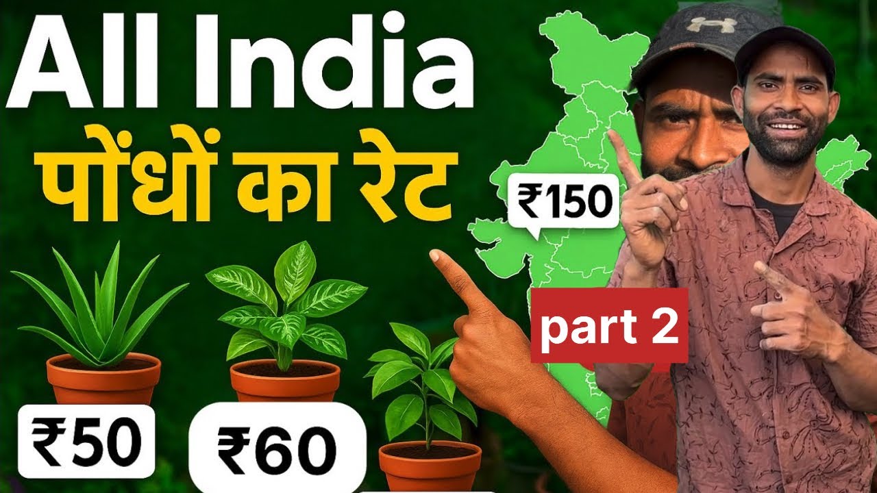 All India Plant Rate List 2025 | जानिए हर पौधे की सही कीमत 🪴part 2
