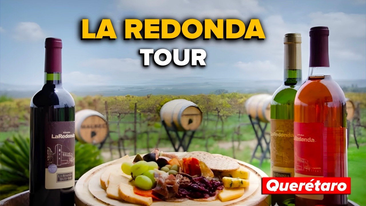 LA REDONDA Quer&eacute;taro 🍇 El vi&ntilde;edo de M&eacute;xico