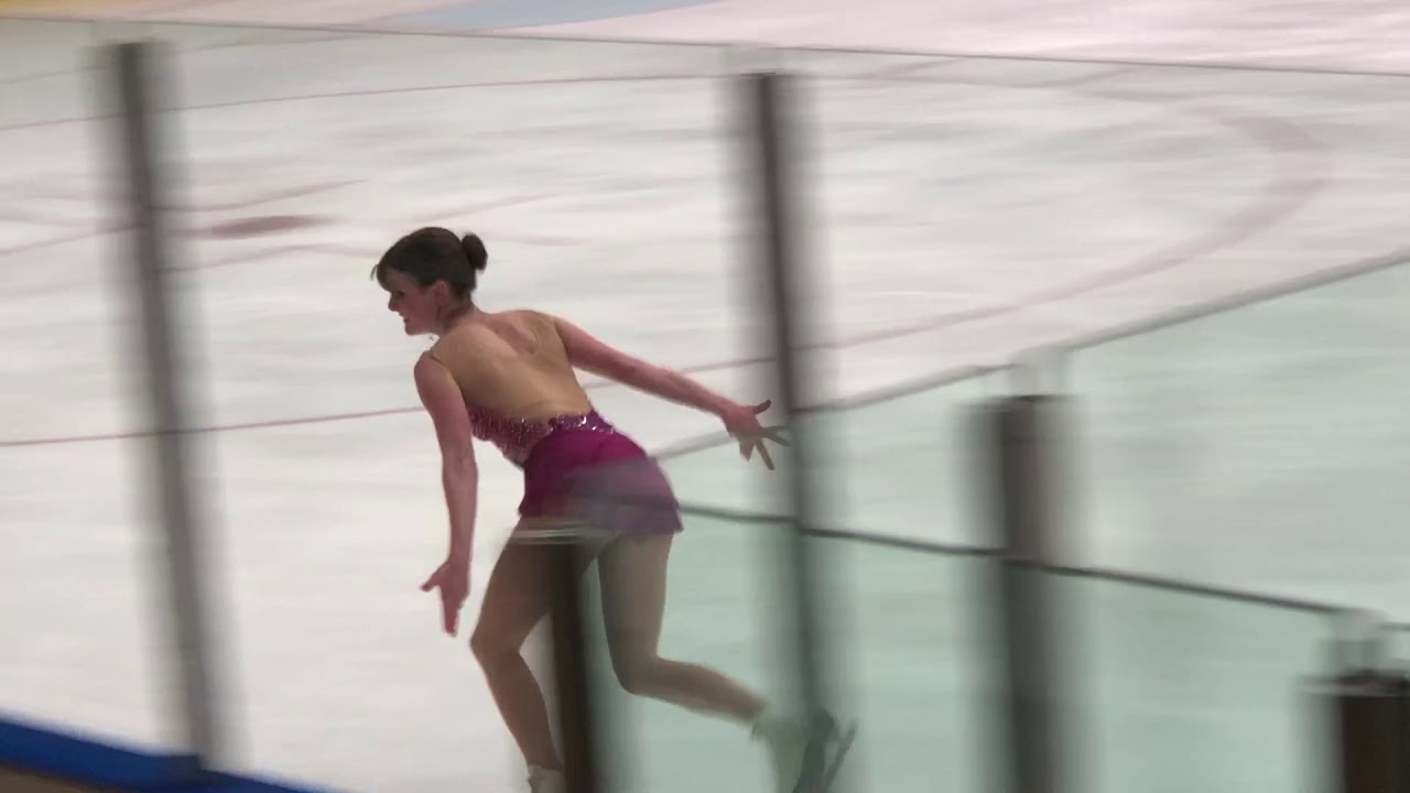 2019 US Adult National Figure Skating Championships