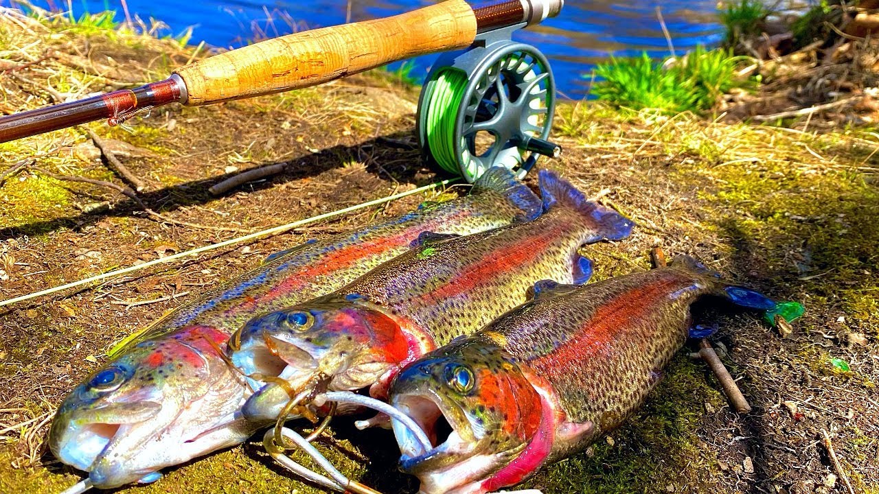 Нахлыстовая рыбалка и форель на гриле с травами | Открытие форелевого уикенда в Нью-Джерси