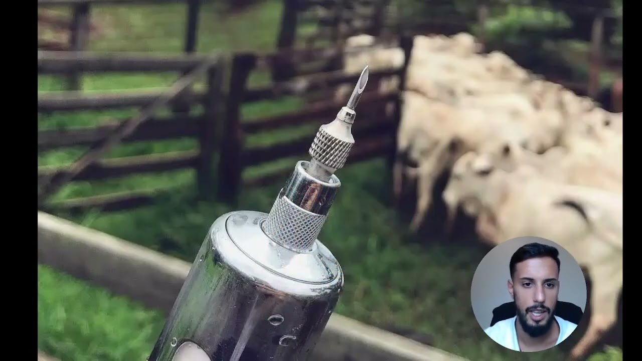Vacina contra raiva em Animais :bovinos, ovinos, equinos e caprinos.