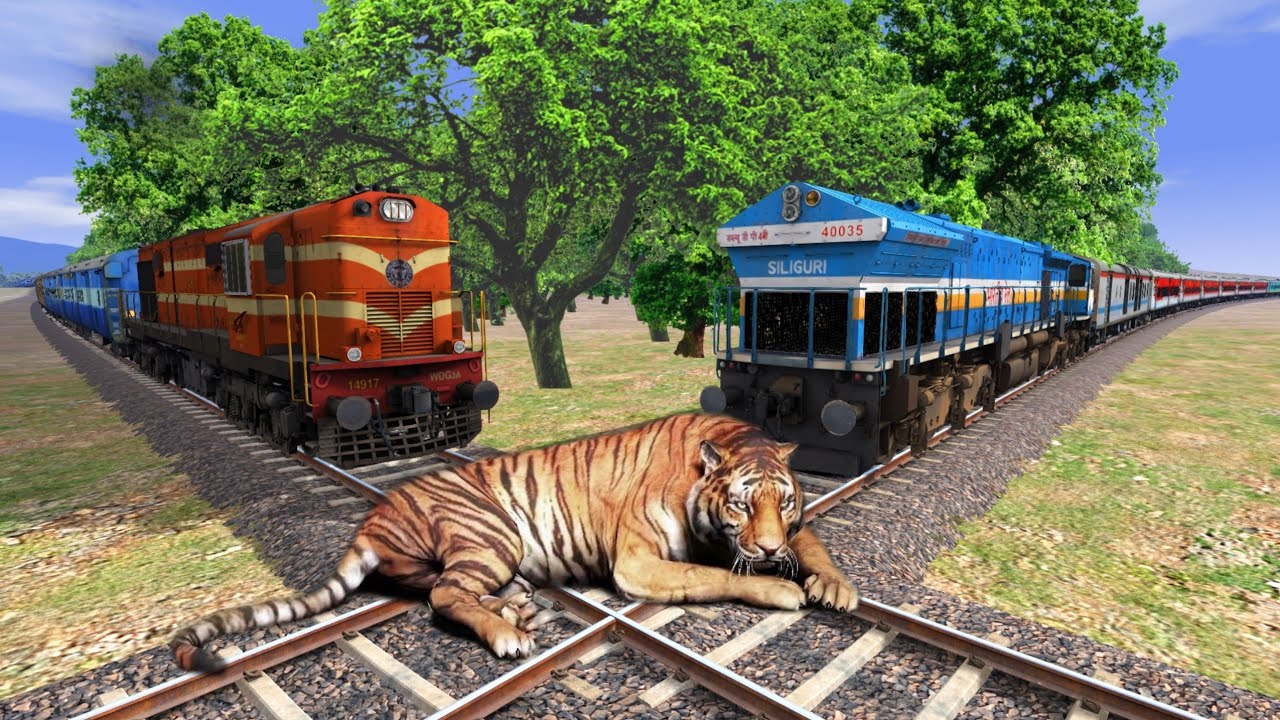 Two Trains vs Tiger #2 – Stops the Train | Train Simulator