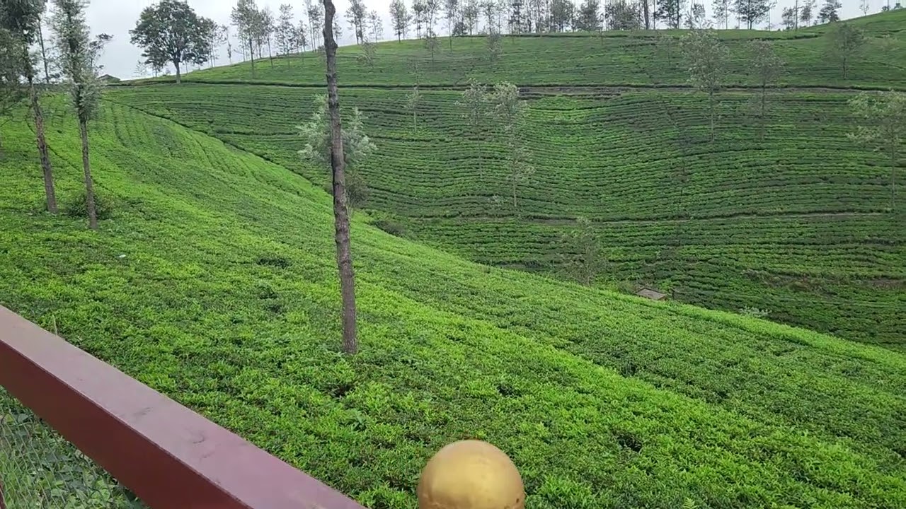 BEAUTIFUL : KOTAGIRI NEAR OOTY