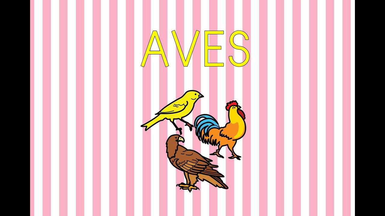 Las aves explicadas con pictogramas ARASAAC