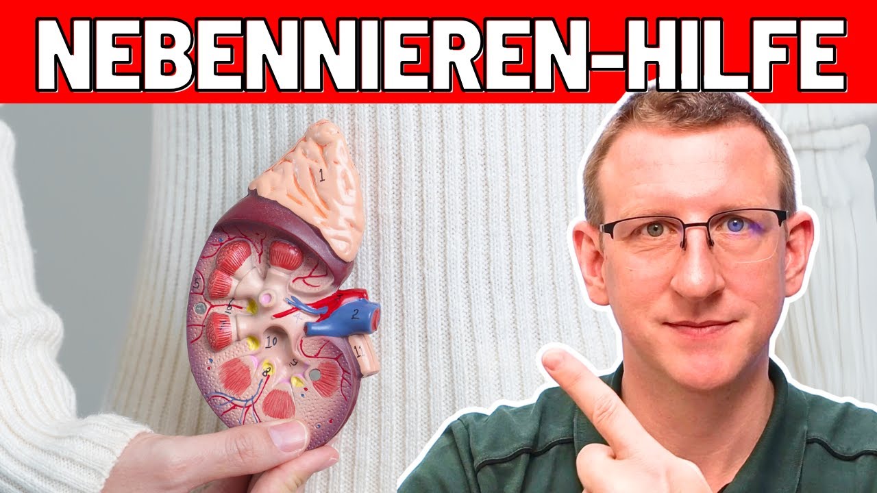 Nebennierenschwäche behandeln - Ursache Progesteronmangel?