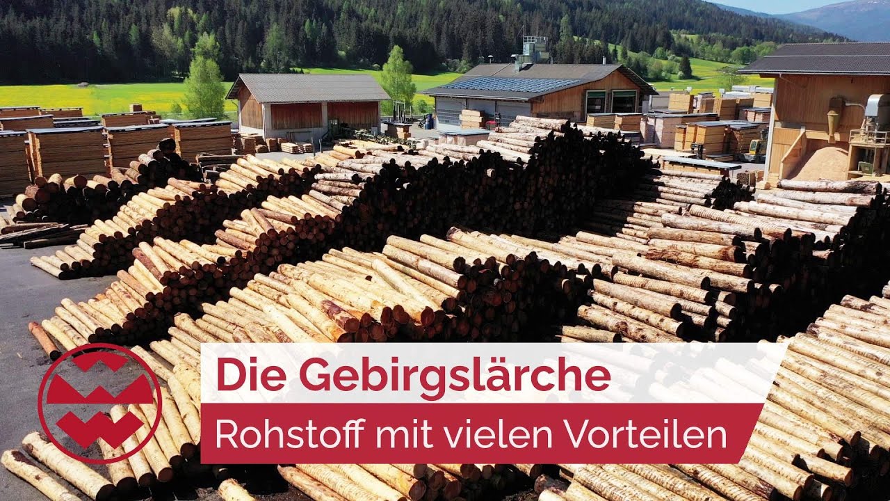 Gebirgslärche: Natürlicher Rohstoff mit vielen Vorteilen - Home Sweet Home | Welt der Wunder