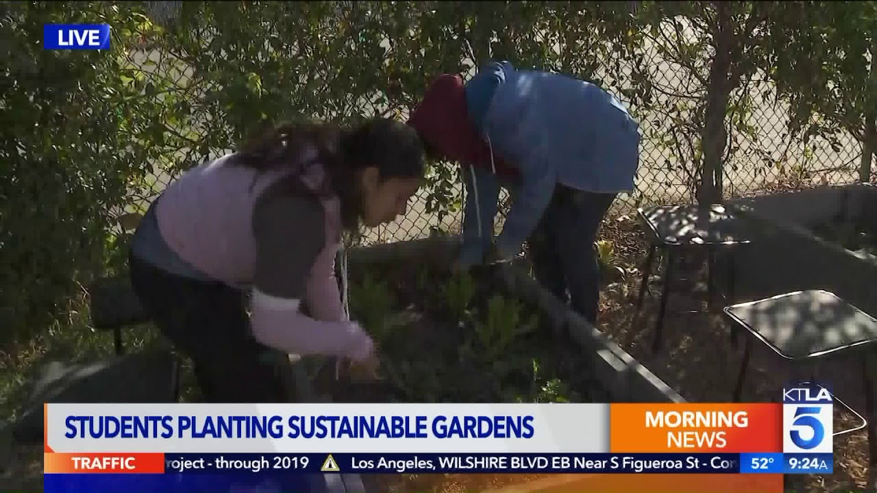 Sam Helps Students Plant Sustainable Gardens in South Central LA