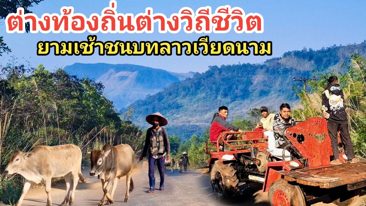 ต่างท้องถิ่นต่างวิถีชีวิตชนบทลาวใต้ชายแดนลาวเวียดนาม